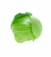 Cabbage / Patta Gobi OP New Green Star (Imp.) 10 grams